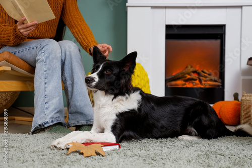 Border Collie dog with woman reading book near fireplace at home on autumn day