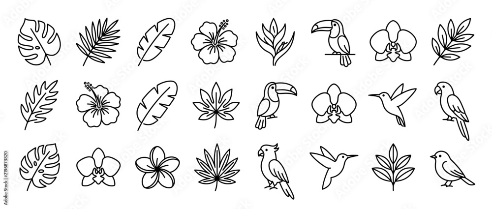 Fototapeta premium Tropical Jungle Icons Set