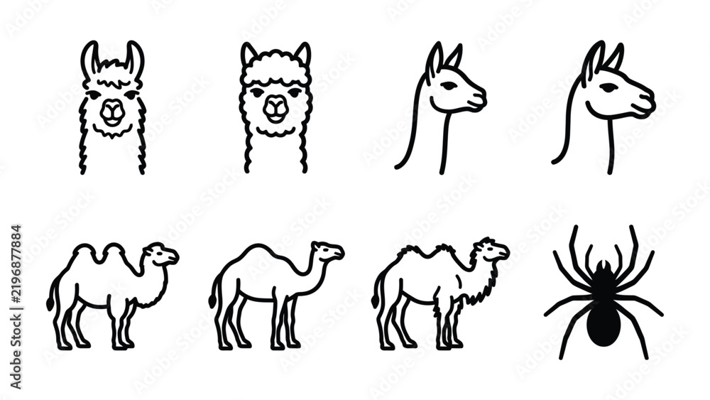 Obraz premium Llama, Alpaca, Camel, Spider Icons