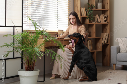 Quadro su tela Cute Doberman dog and young happy woman holding mobile phone with laptop on work