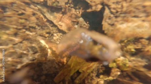水中の真上から撮影した天然ガスが噴出する様子
