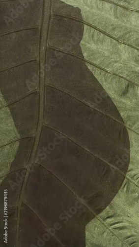 Pregnant Silhouette Within Green Leaf Symbolizing New Life and Nature