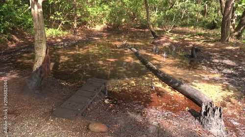 日本最古の油田「黒川油田」の臭水坪