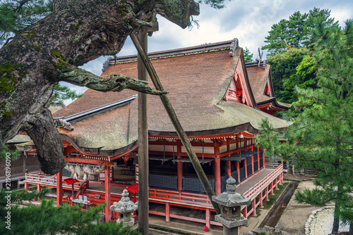 Obraz w ramie 島根 日御碕神社 拝殿と本殿