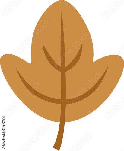 Leaf - Sassafrass, Brown