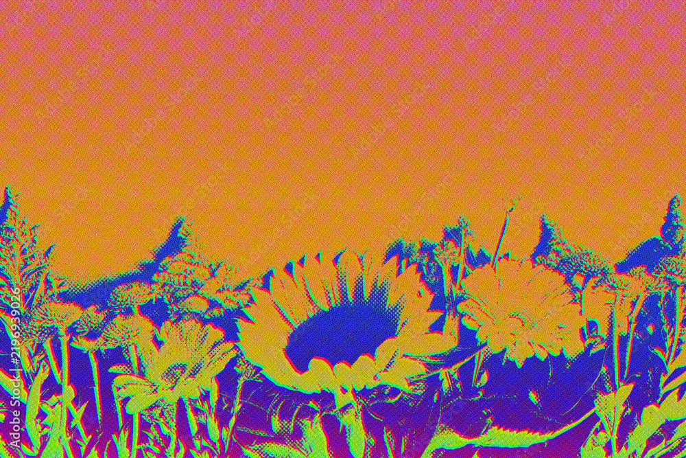 Obraz premium Abstract pop art halftone wildflowers in yellow and blue against a grainy orange and peach gradient sky background. Anchors a poster, retrofuturism and design for a music album cover.