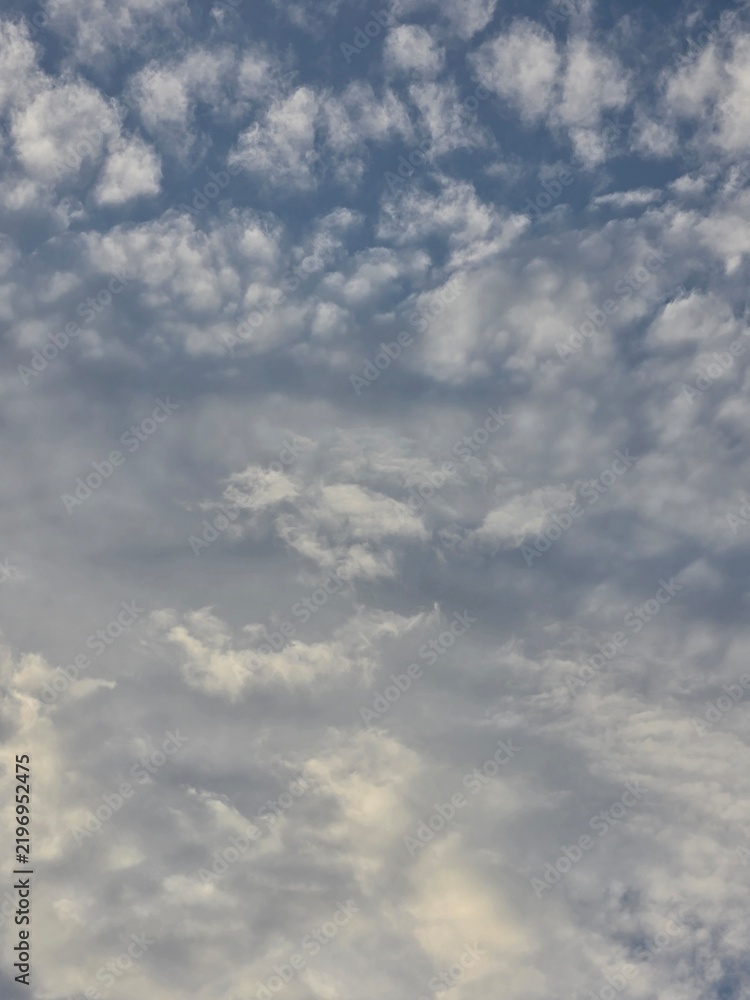 Obraz premium Soft textured cloudscape featuring scattered white and gray clouds across a muted blue sky.