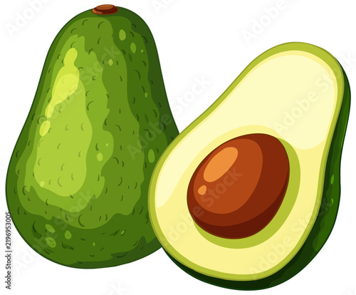 Fresh Green Avocado Vector Illustration with Whole Fruit and Sliced Half