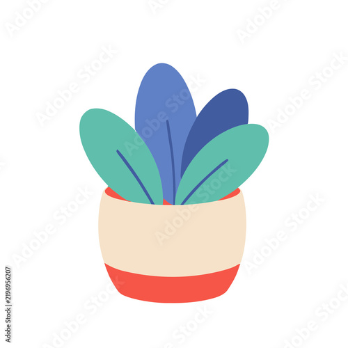 Potted plant with blue and green leaves