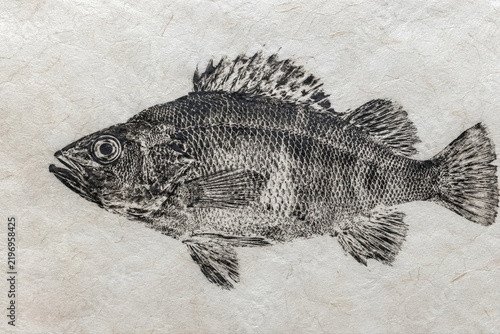 Gyotaku traditional Japanese fish print perch art on rice paper