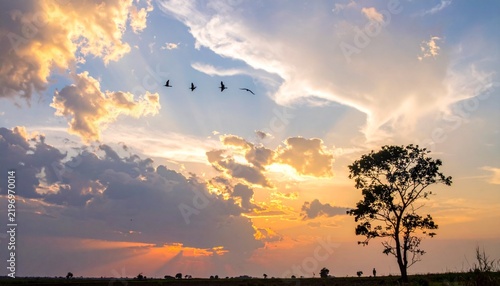 sunset in the sky
