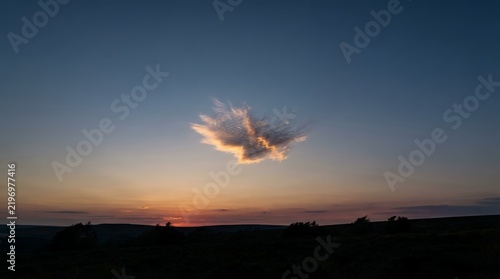 Unique cloud formation resembling a bird in the sky at sunset.