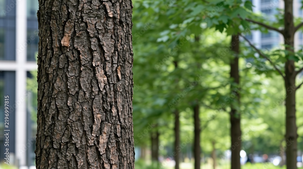 Fototapeta premium Close-up of rough bark on a mature tree trunk with a blurred urban park background
