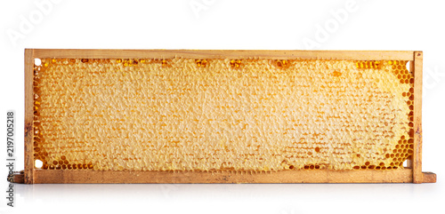 Wooden beehive frame with honeycombs isolated on a white background. Combs full of honey sealed with wax caps.