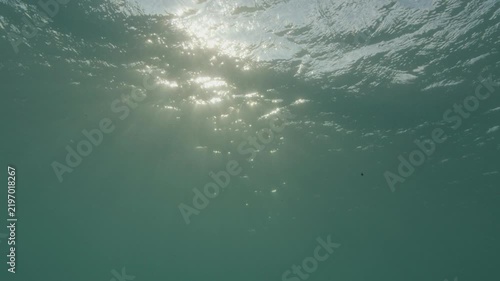 Sun overhead from underneath, slightly green water and choppy surface, in slow motion