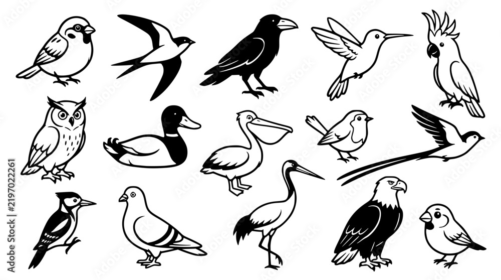 Fototapeta premium Diverse collection of various wild birds in simple vector graphic style