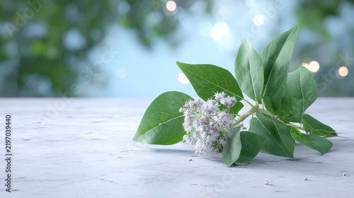 Fresh flowering branch with green leaves on a textured stone surface with bokeh