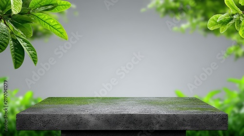 Natural stone product display platform with dewy leaves and soft blurred forest background