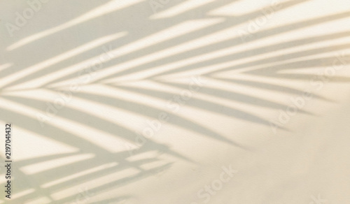 Gray beige shadow of natural palm leaf abstract background falling on white concrete wall texture for background and wallpaper. Tropical palm leaves foliage shadow overlay effect, mockup and design