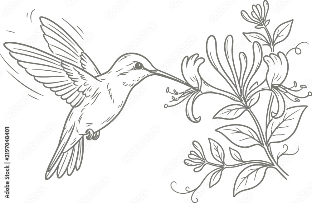 Fototapeta premium white dove with flower