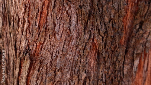 Full-frame close-up texture of weathered reddish-brown tree bark with deep vertical grooves and rough fissures.