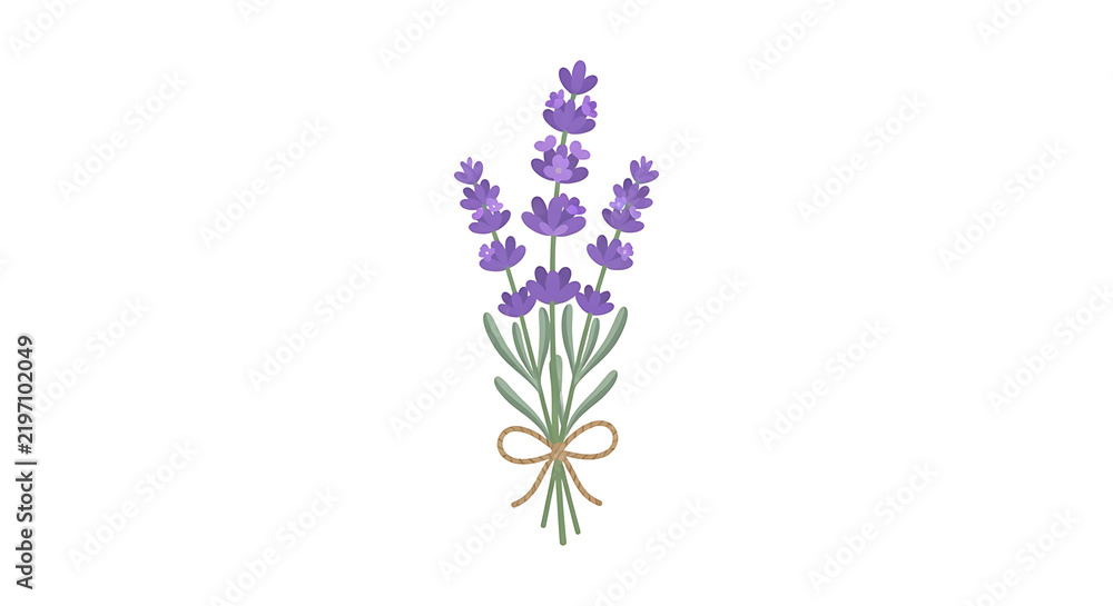 Obraz premium Hand Drawn Lavender Bouquet Illustration.