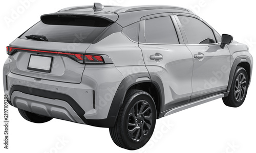 Back view gray electric car