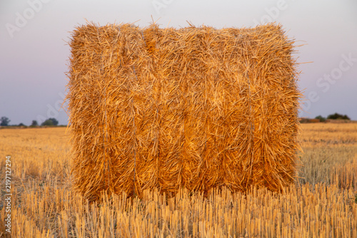 Fotografie A haystack in a wheat field after mowing.