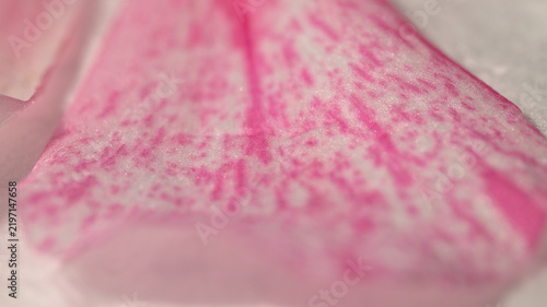 Extreme macro close-up of a pink and white pelargonium flower petal with mottled coloring and fine surface texture.