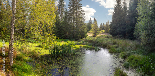 Bahnak pond surrounded by wetland vegetation and trees in the Kladska peat bog within the Slavkov Forest nature reserve, Czech republic