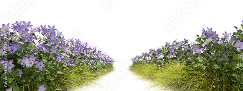 Full flowery line side way on transparent backgrounds 3d render png file