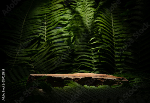 Cosmetic podium background with natural stone for showcasing perfume, makeup, skincare, and haircare products.