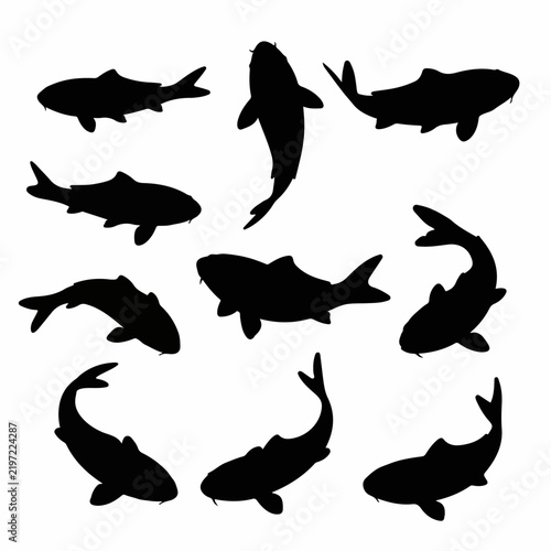 Distinct koi fish silhouettes isolated in scalable vector format
