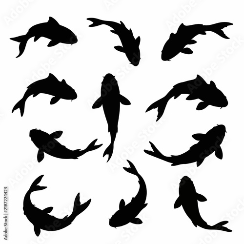 Individual koi fish silhouette vectors isolated on white canvas