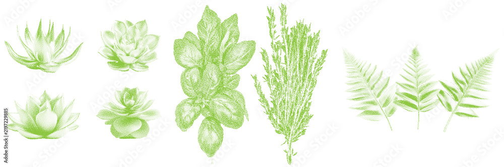 Obraz premium Halftone stipple dotted retro grunge transparent greenery succulents and leaves collection