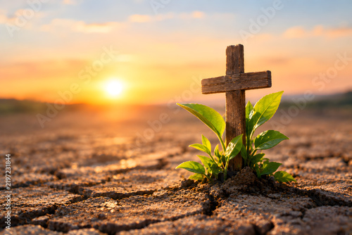 A tiny green plant growing beside a small wooden cross from cracked dry earth, faith, renewal and hope after hardship
