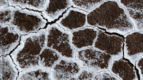 Elegant photo of A close-up of dry cracked earth with white salt deposits. This natural texture represents environmental drought or geological landscape themes.