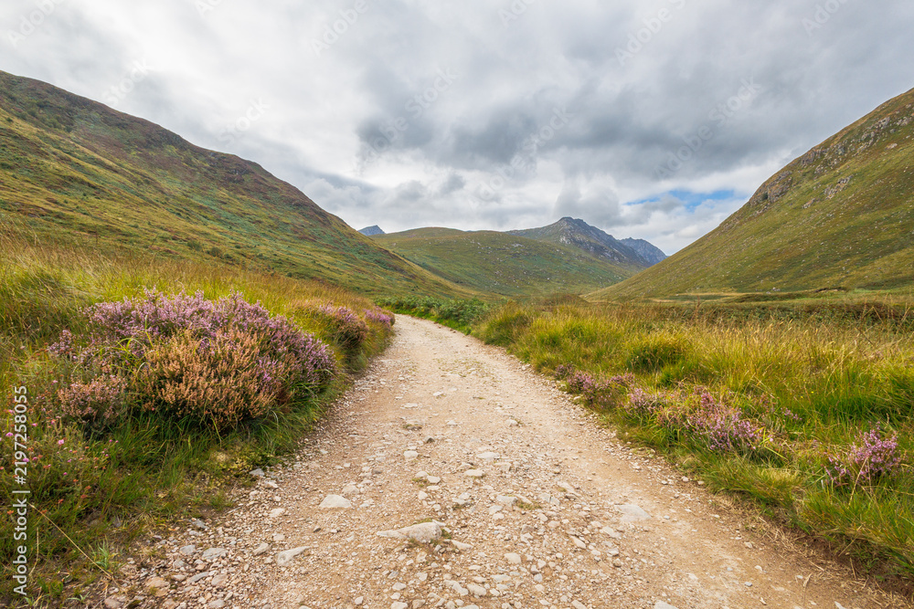 Fototapeta premium Dappled path winds through wild green hills of Glen Rosa, Arran