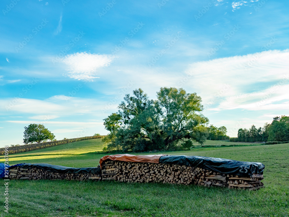 Obraz premium Brennholz Lager im Freien