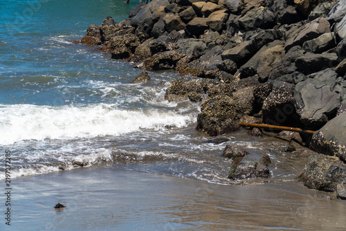 Waves crash against dark, rugged rocks. Foam swirls as water meets stone shore. Lone bird rests on wet sand. Sunlight glints off sea's surface. Nature's raw power meets quiet calm