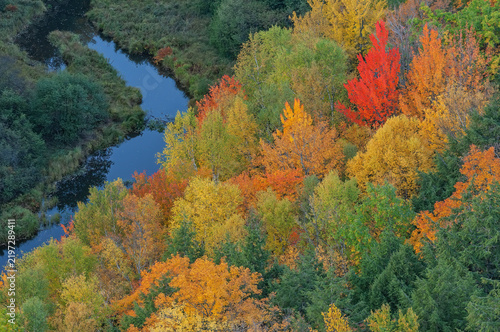 Autumn landscape of a forest from Lake of the Clouds overlook, Porcupine Mountains Wilderness State Park, Michigan's Upper Peninsula, USA