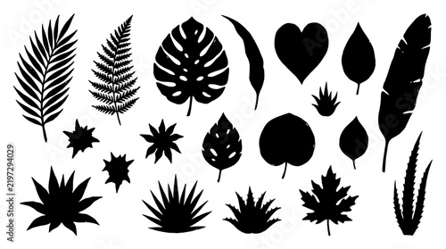 Collection of black silhouettes of tropical leaves and plants isolated on white background for design