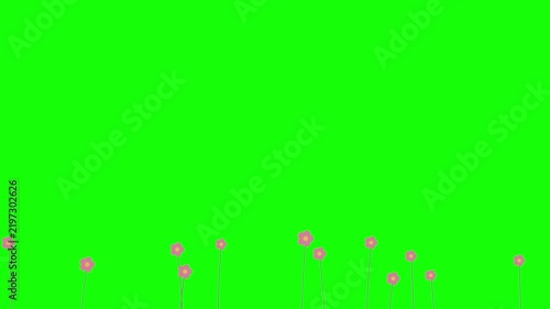 Stylized pink flowers swaying on a green screen background