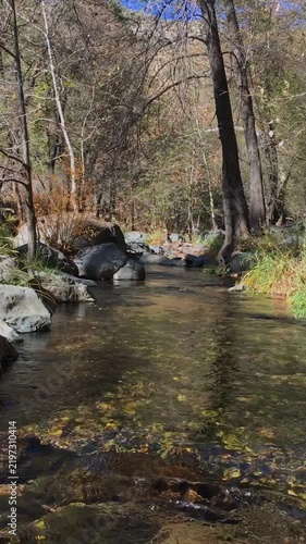 Vertical View Flowing Oak Creek In Sedona AZ At Fall Time 