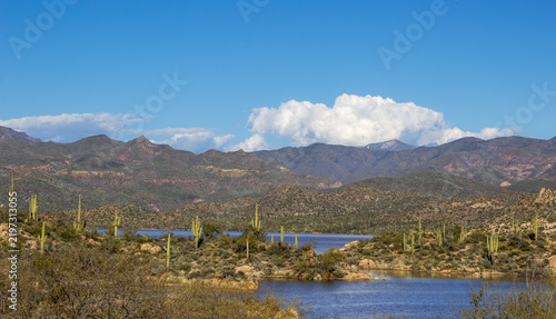 Obraz na płótnie Wide Ratio View Of Bartlett Lake In Arizona With Desert Mountain Backdrop