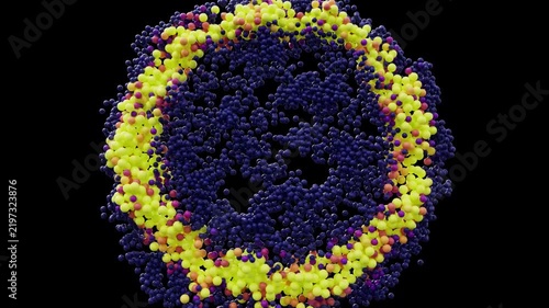 Radial shock wave made of 3D particles