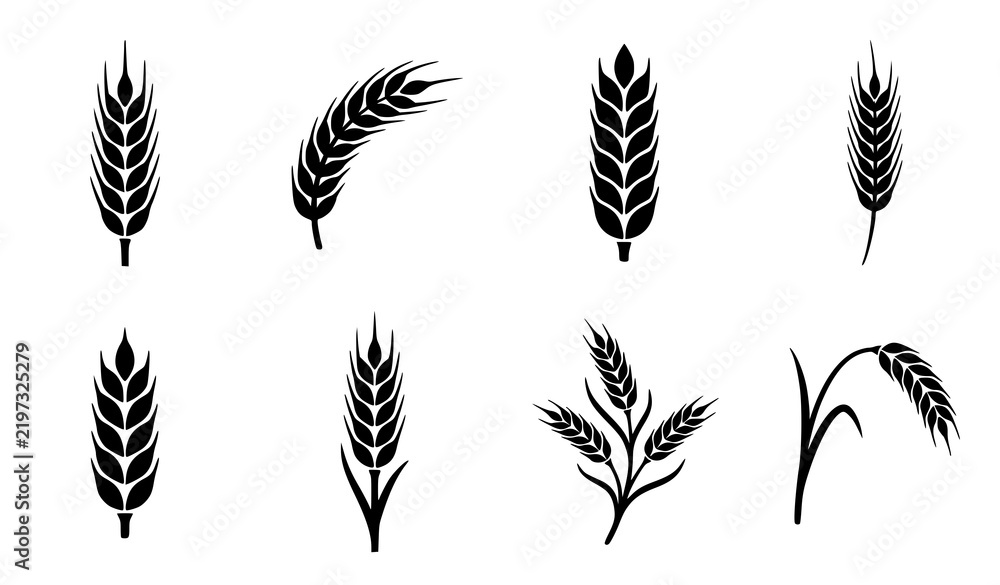 Obraz premium Set of black silhouette wheat ears and cereal grain stalks for agricultural design and organic food branding