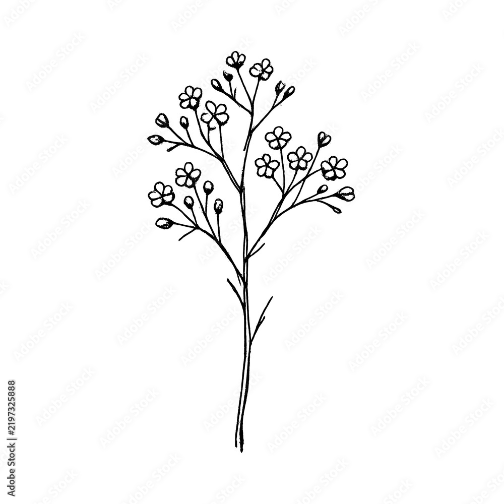 Obraz premium PNG Minimalist floral line art design.