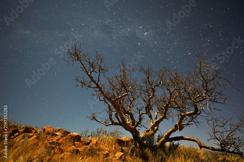 Milky Way arch, stars in the sky