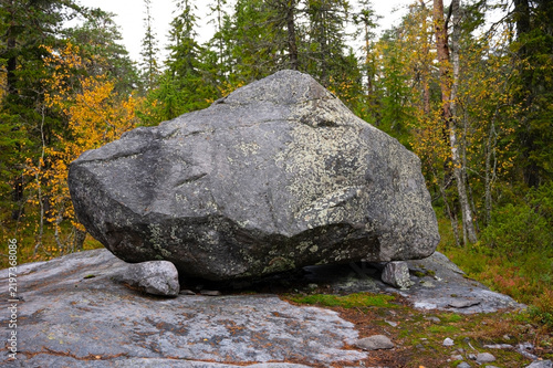 Bild auf Leinwand A massive glacial boulder covered with lichens